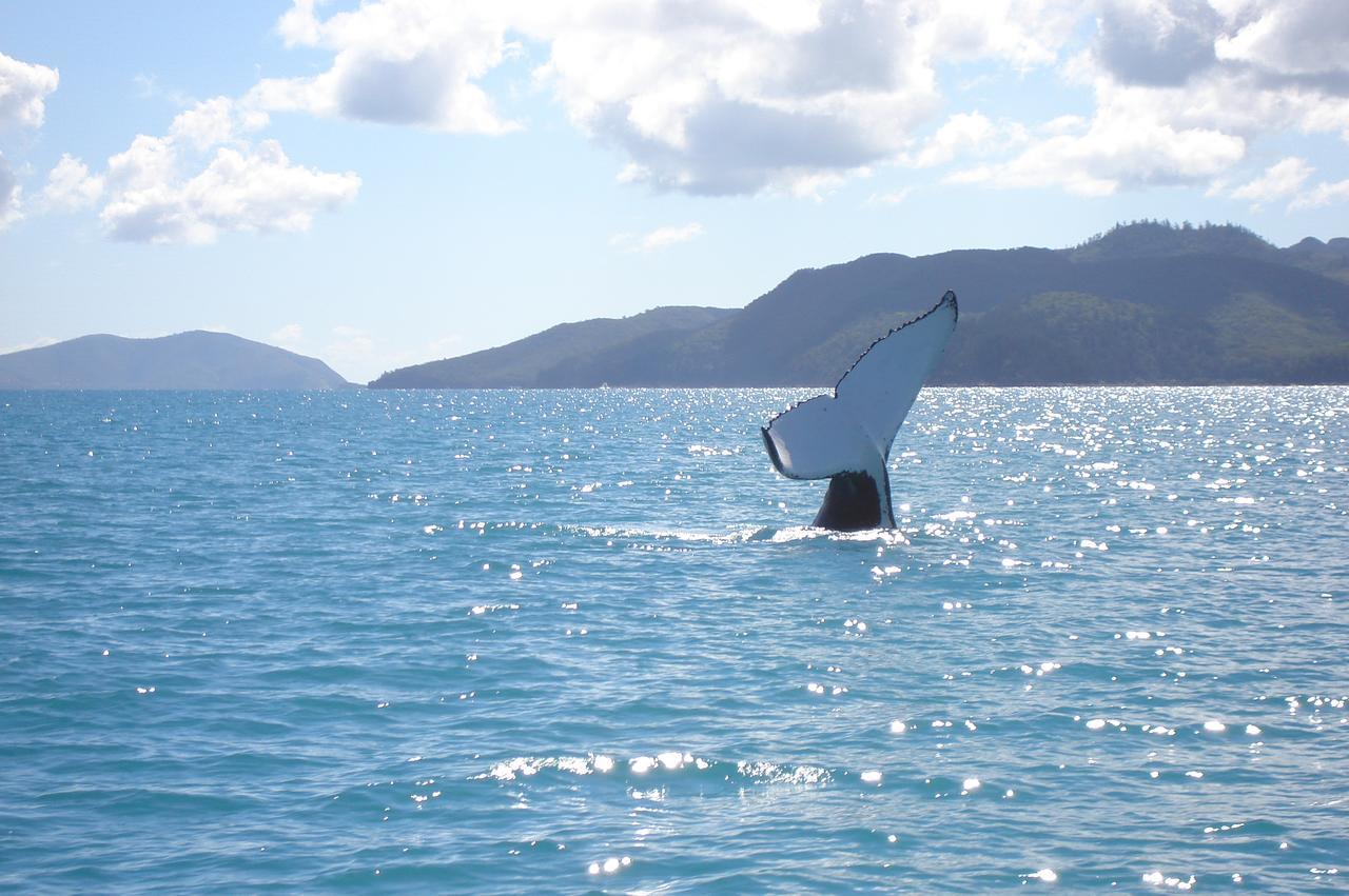 Marina View Apartment Airlie Beach Luaran gambar